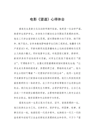 《望道》观后感5篇.docx