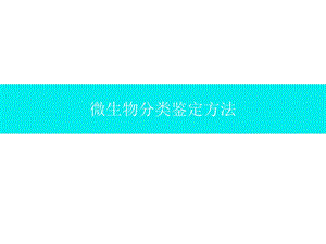 微生物分类鉴定方法.pptx