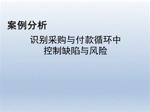 审计案例分析.pptx