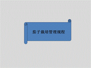茄子栽培技术.pptx