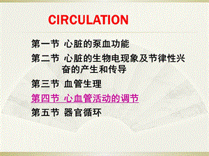 生理学循环系统.pptx