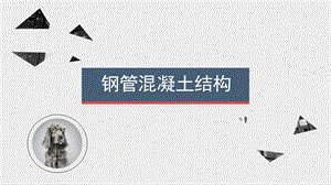 钢管混凝土结构.pptx
