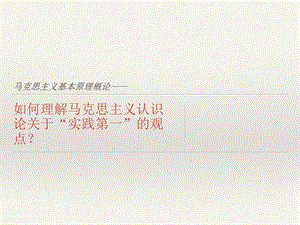 马克思主义实践.pptx