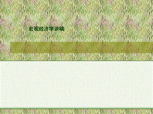 宏观经济学讲稿.pptx