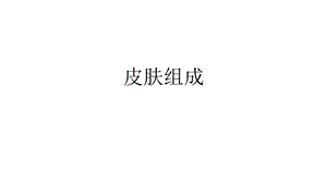 皮肤基础知识.pptx