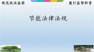节能法律法规.pptx
