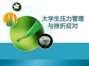 大学生压力与挫折.pptx