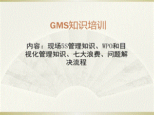 GMS培训资料.pptx