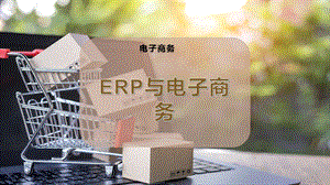 ERP与电子商务.pptx