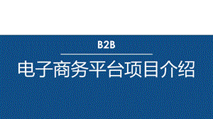 B2B电子商务平台介绍.pptx