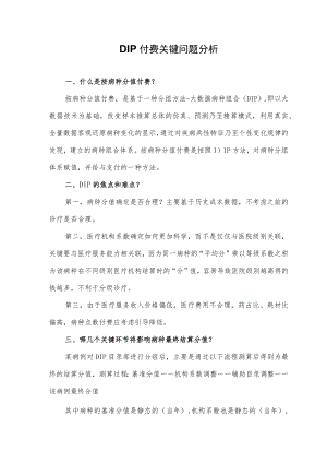 DIP付费关键问题分析.docx
