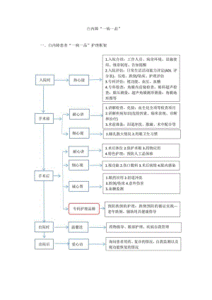 眼科白内障“一病一品”.docx