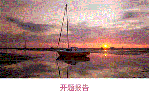 开题报告姚垚.pptx