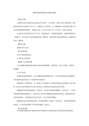 桡神经损伤修复技术操作规范.docx