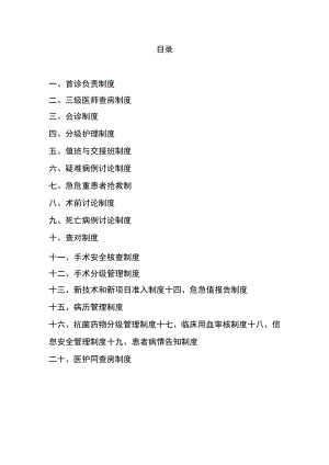 二十个医疗核心制度.docx