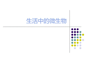 生活中的微生物.pptx