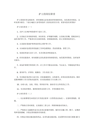 护士的岗位职责.docx