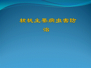 核桃病虫害防治.pptx