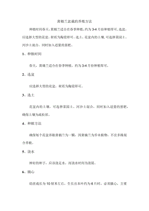 黄桷兰盆栽的养殖方法.docx
