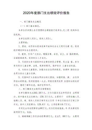 2020年度部门支出绩效评价报告.docx