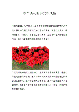 春节买花的讲究和风俗.docx