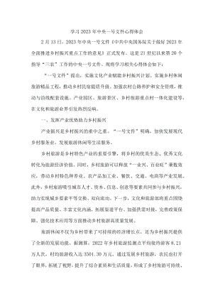 干部学习2023年中央一号文件心得体会 (汇编3篇).docx