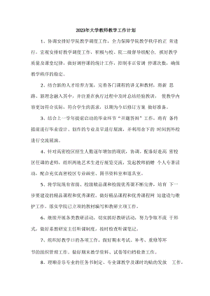 2023年大学教师教学工作计划 (模板三篇).docx
