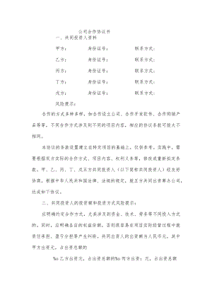 公司合作协议书.docx