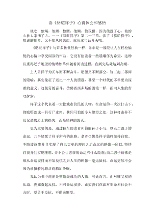 读《骆驼祥子》心得体会和感悟7篇 (汇编).docx