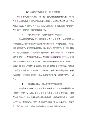 2023年乡镇农村春耕备耕工作管理措施合辑6篇 (模板).docx