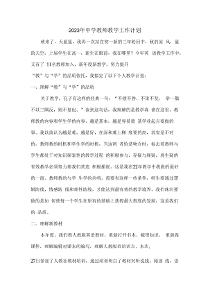 2023年中学教师个人教学工作计划 (精编4份).docx