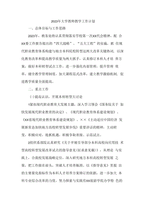2023年大学教师教学工作计划 (实用三篇).docx
