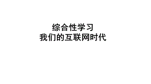 我们的互联网时代ppt.pptx