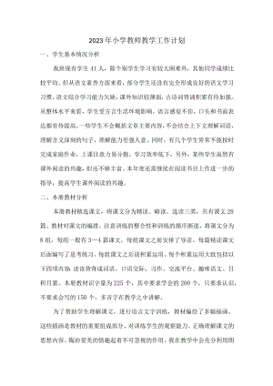 2023年私立小学教师教学工作计划.docx