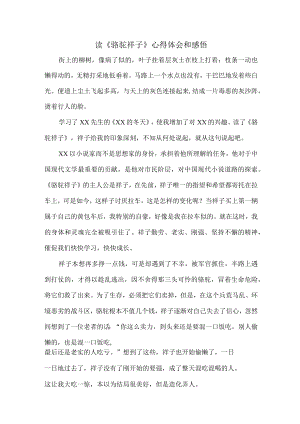读《骆驼祥子》个人心得体会和感悟 (精编).docx