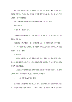 安全管理机构设置、安全管理人员配备制度.docx