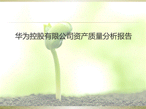 华为财务报表分析.pptx