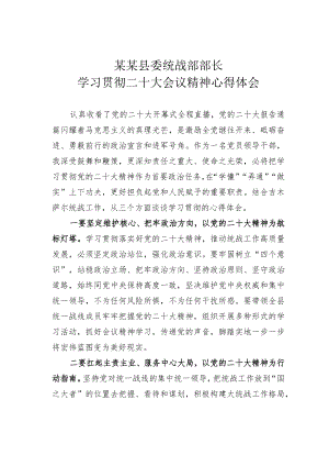 某某县委统战部部长学习贯彻党的二十大会议精神心得体会.docx