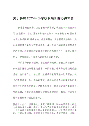 2023小学校长培训心得体会发言材料3篇例文.docx
