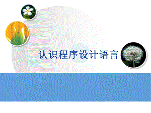 认识程序设计语言...ppt