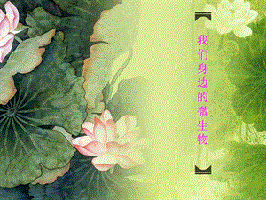 身边的微生物.ppt