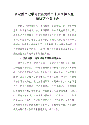 乡纪委书记学习贯彻党的二十大精神专题培训班心得体会.docx
