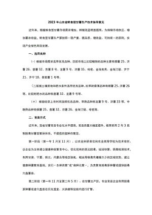 2023年山东省鲜食型甘薯生产技术指导意见.docx