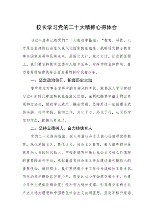 校长学习党的二十大精神心得体会集合三篇.docx