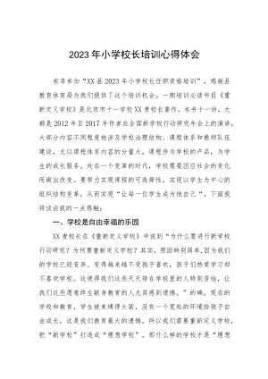 2023小学校长培训心得体会发言材料6篇.docx