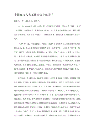 乡镇在市人大工作会议上的发言.docx