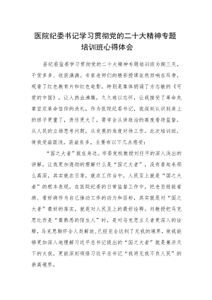 医院纪委书记学习贯彻党的二十大精神专题培训班心得体会.docx