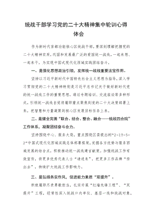 统战干部学习党的二十大精神集中轮训心得体会.docx