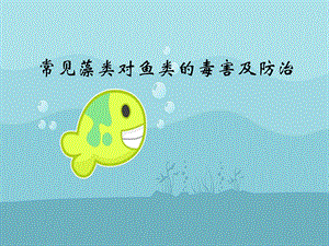 鱼类生物学资料.ppt