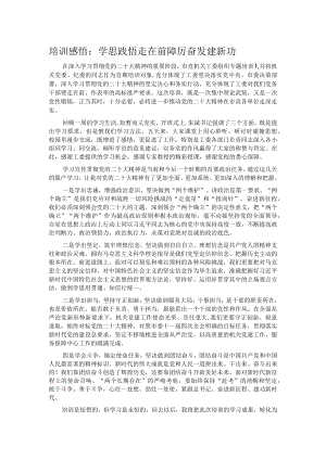 培训感悟：学思践悟走在前 踔厉奋发建新功.docx